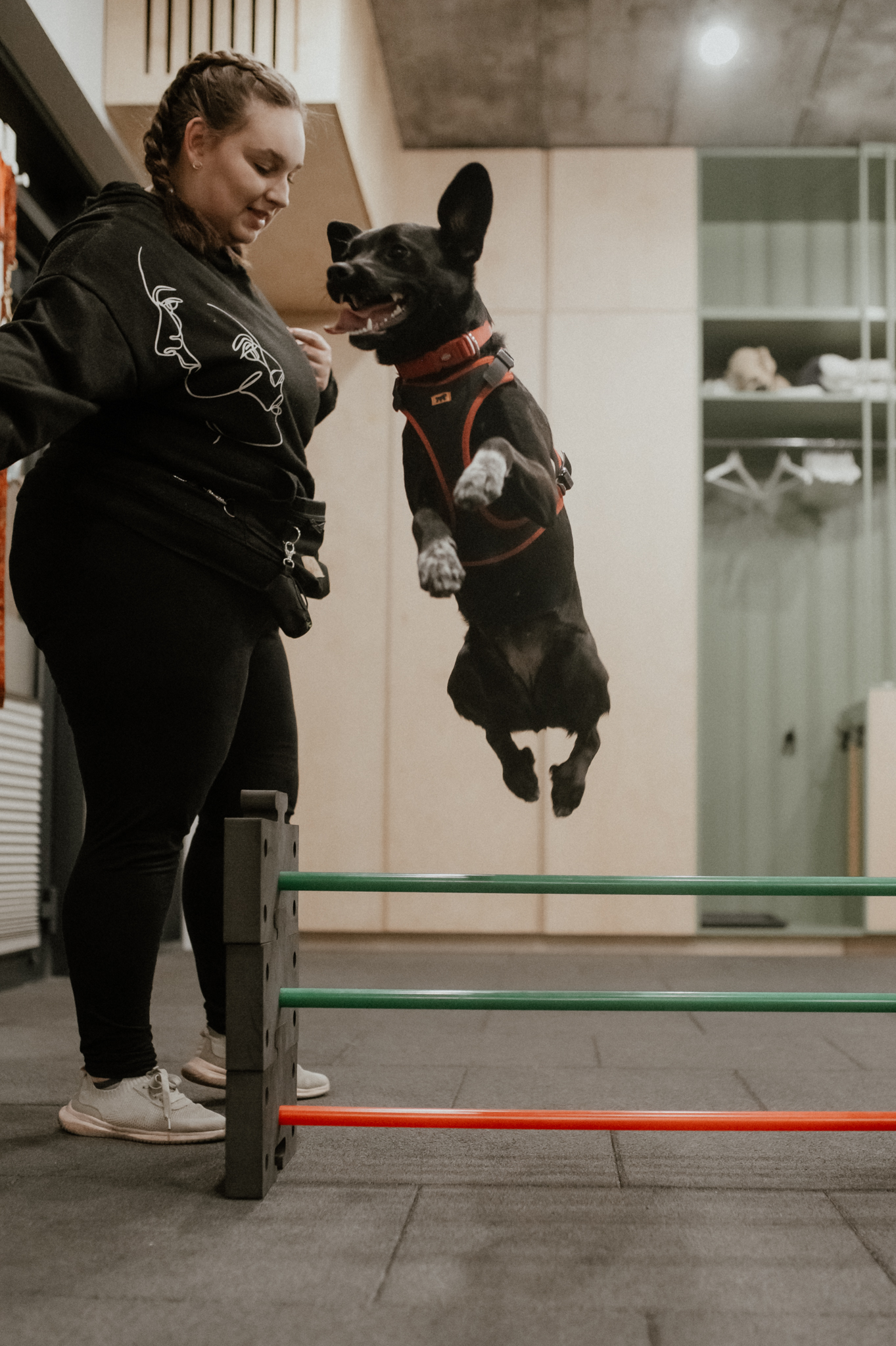 Dogfitness